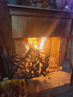 Ориби Каммпирр - Древо...