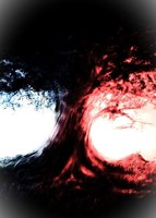 Обложка произведения Край