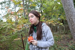 Ориби Каммпирр - Древо...