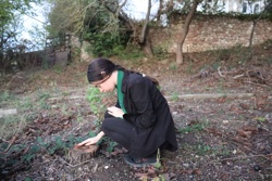 Ориби Каммпирр - Древо...