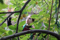 Ориби Каммпирр - Древо...