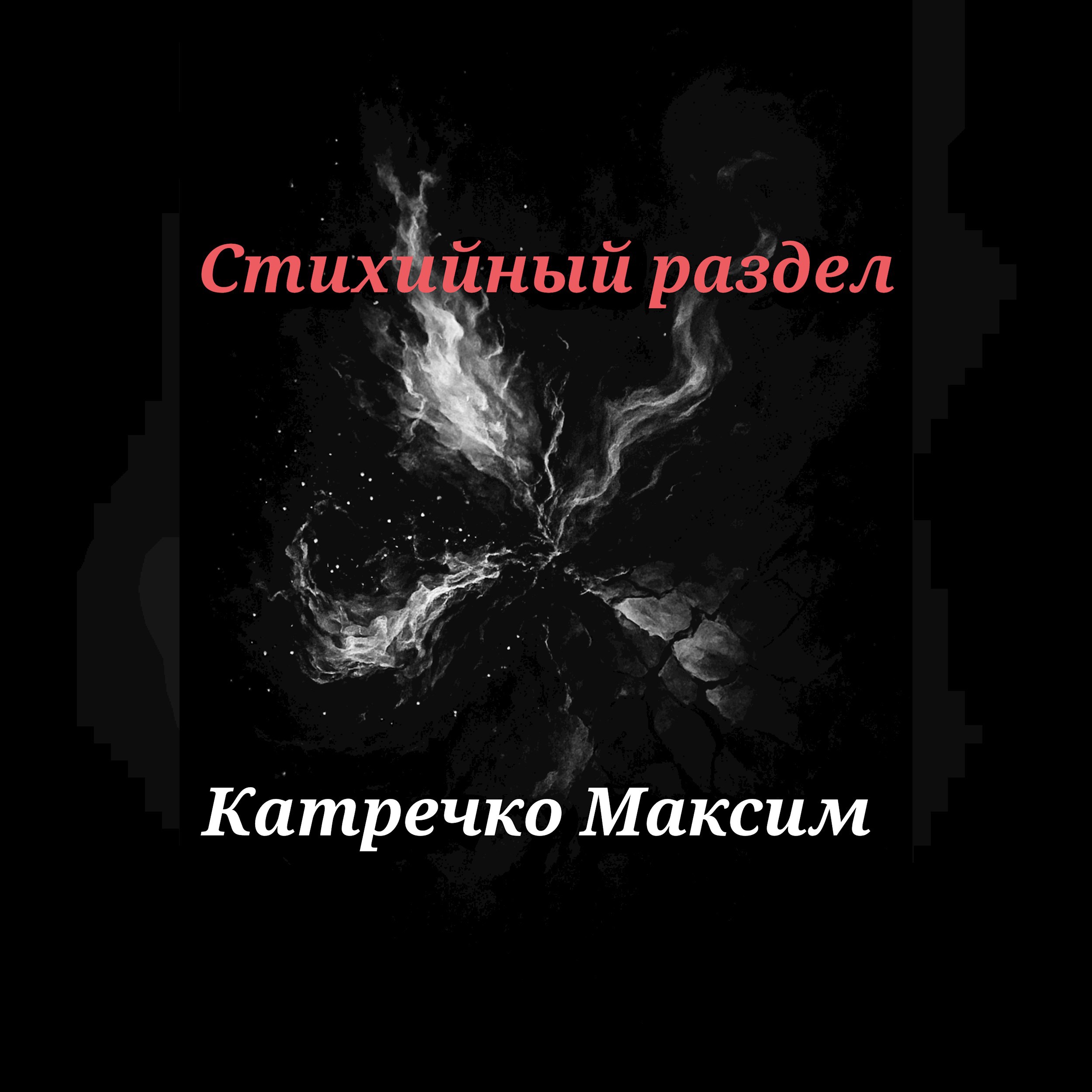 Обложка книги «Стихийный раздел»