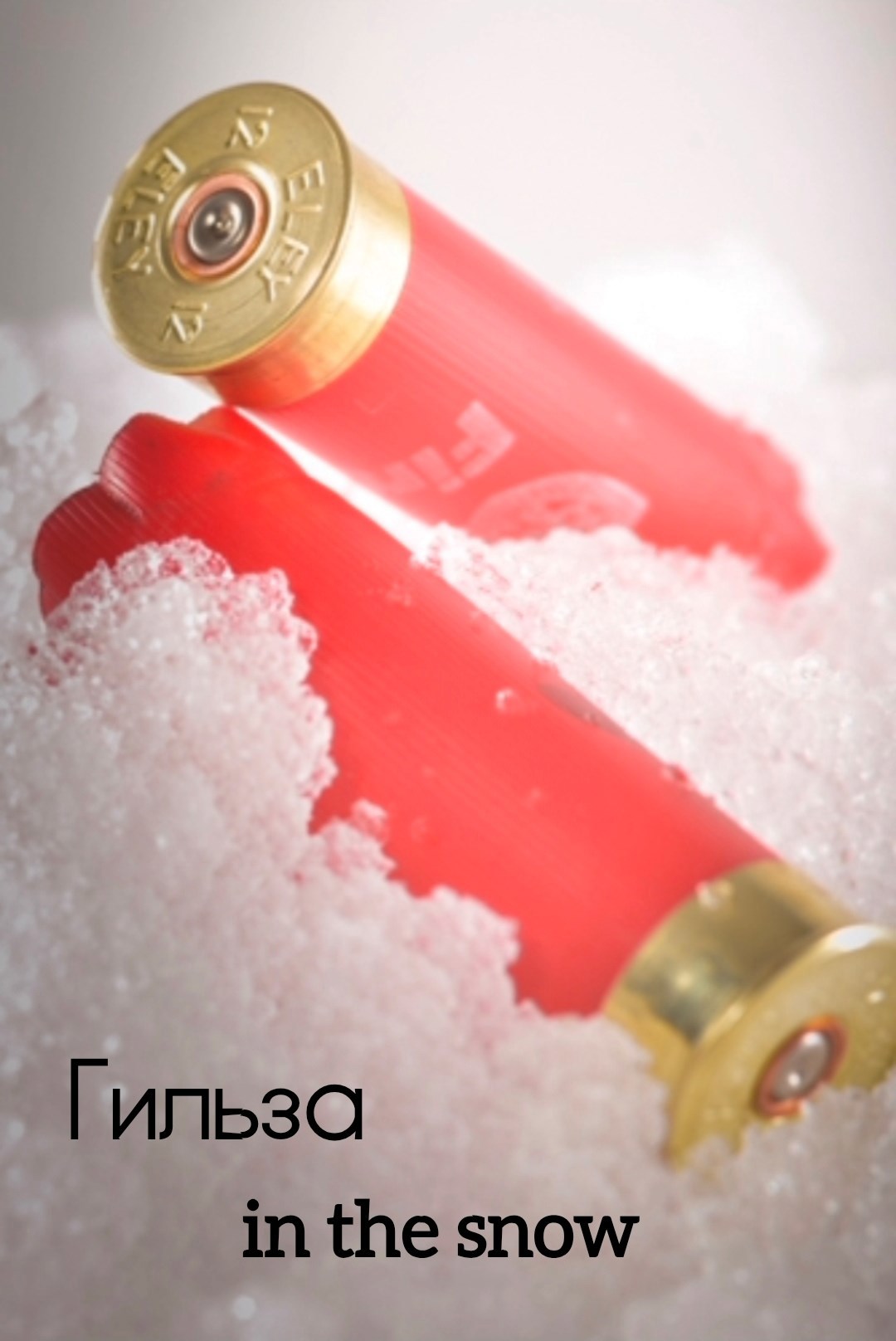 Обложка произведения Гильза в снегу