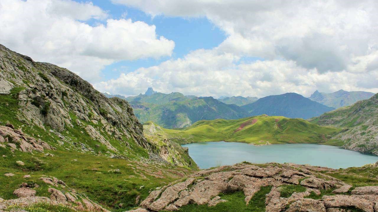 Обложка произведения Веда.