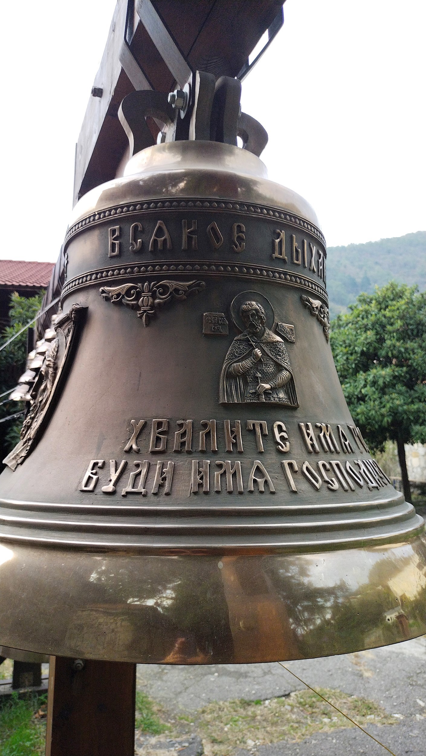 Обложка произведения I was thinking that the leaf was black