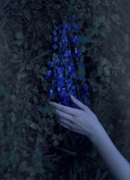 Обложка произведения Женская любовь