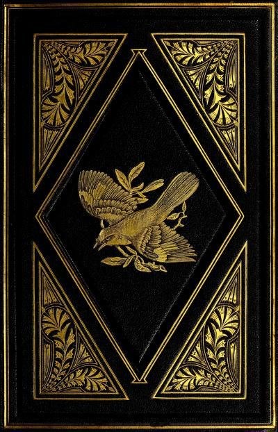 Обложка произведения Светлые воды, кислотные воды, стерильные воды