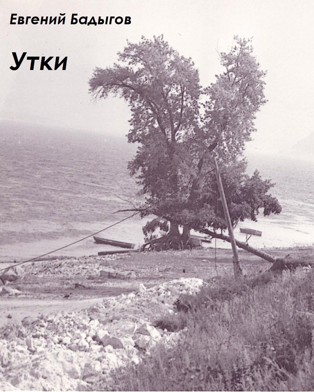 Обложка произведения Утки