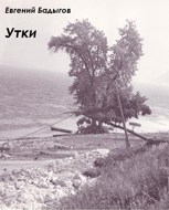 Обложка произведения Утки