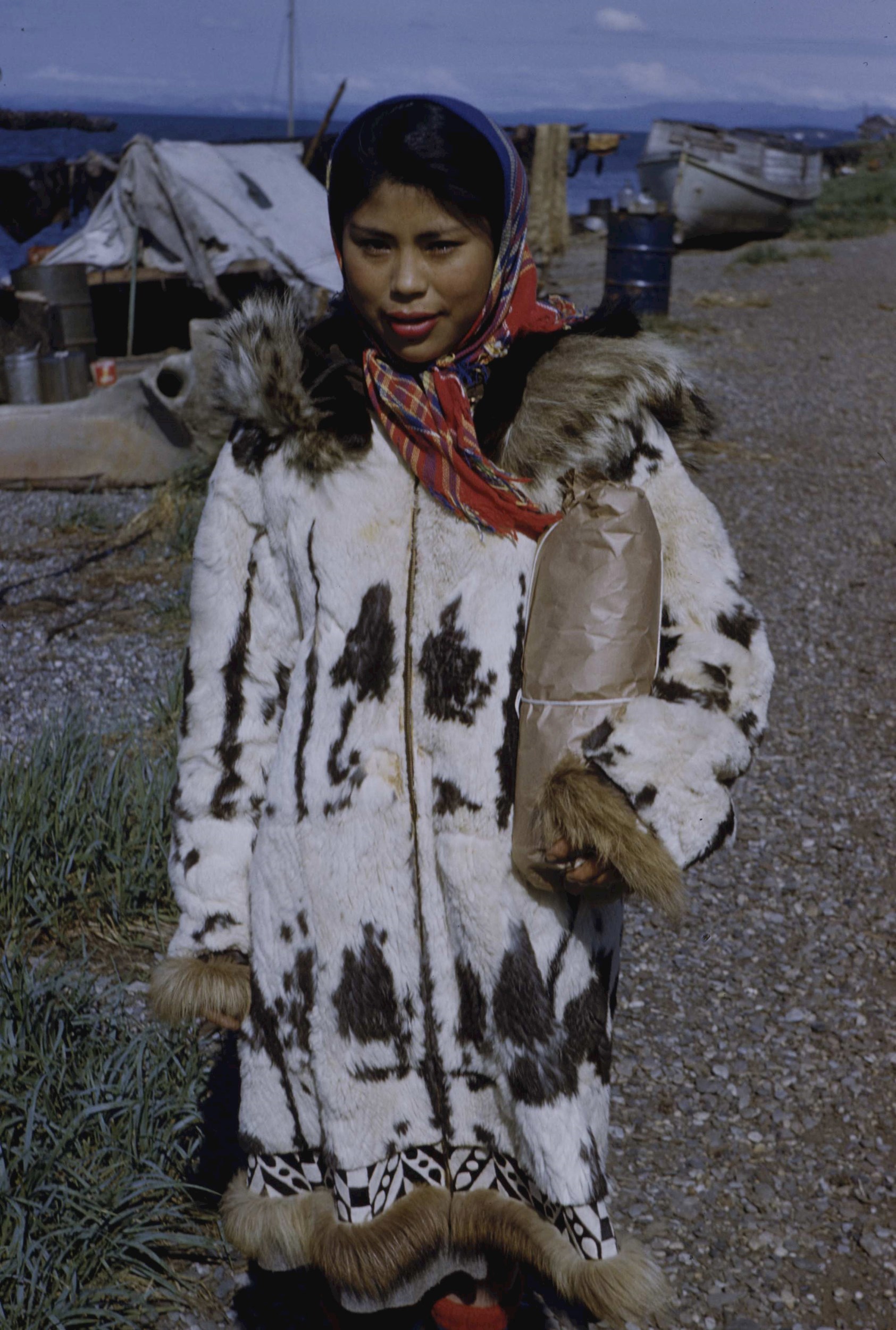 Обложка произведения Трагикомедия в стиле Дэвида Кроненберга