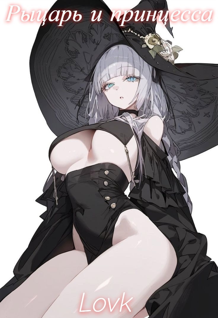 Обложка книги «Рыцарь и Принцесса»