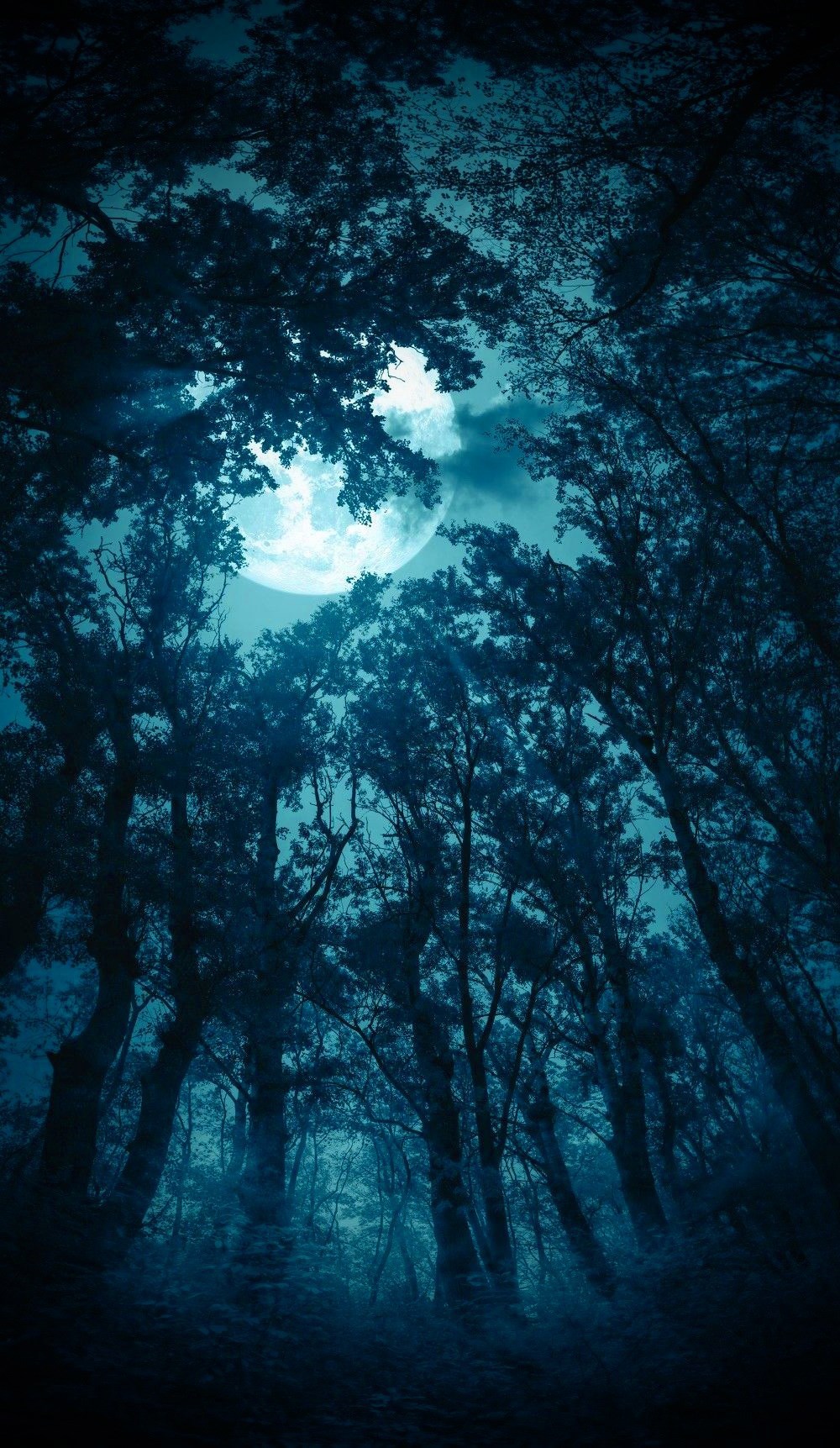 Обложка произведения По первому снегу