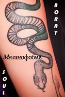Обложка произведения Меланофобия