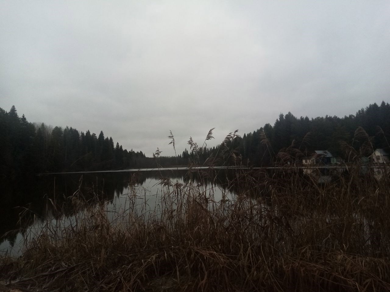 Обложка произведения Танец Феи Драже