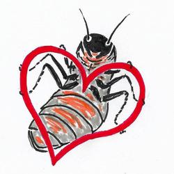 Таракан. Автор рисунка...