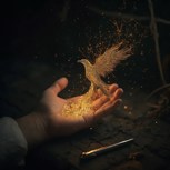 Обложка произведения Архитектор Феникса. Пять актов пересборки.