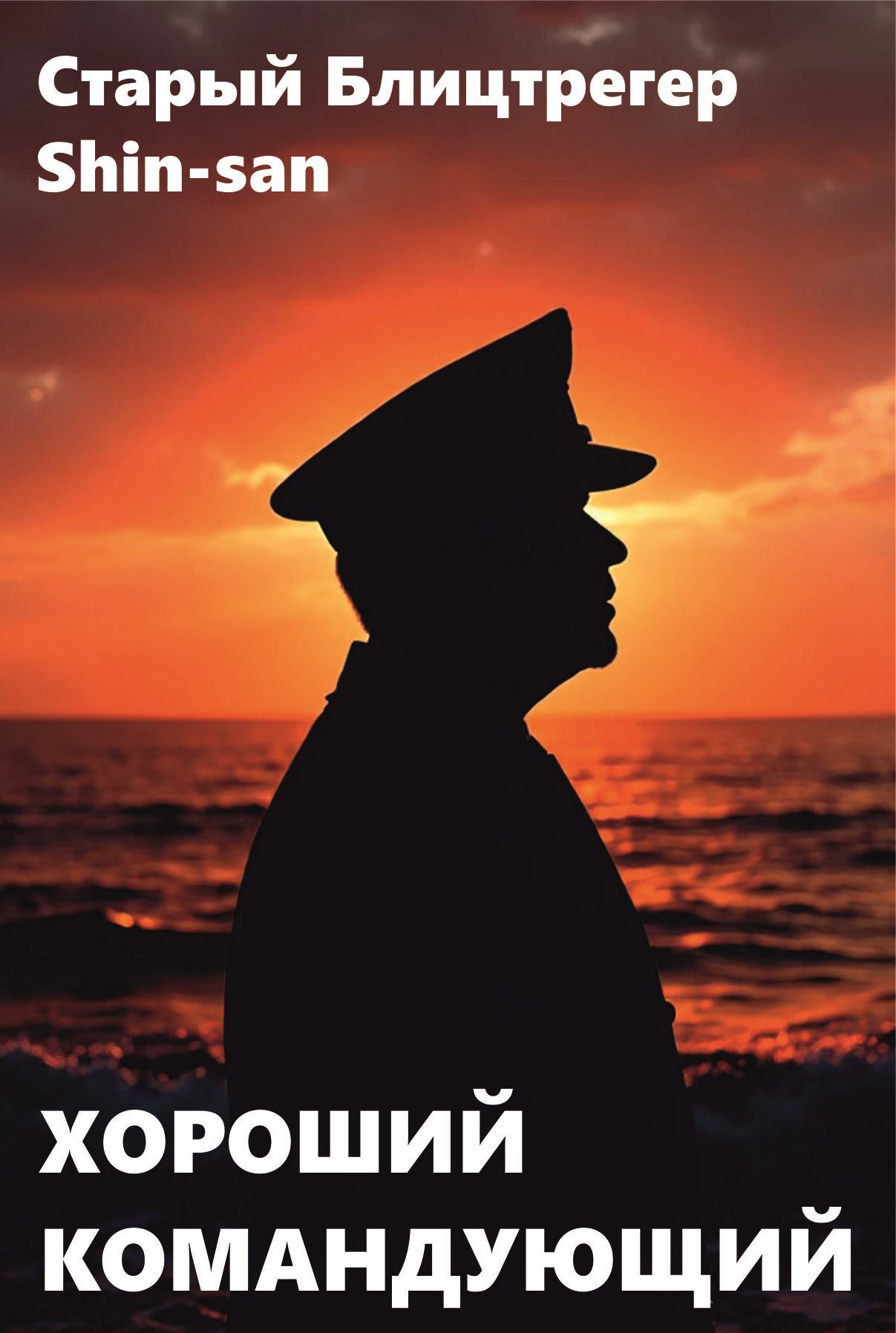 Обложка произведения Хороший командующий