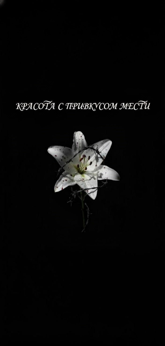 Обложка произведения красота с привкусом мести