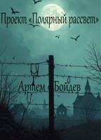 Обложка произведения Проект "Полярный рассвет"