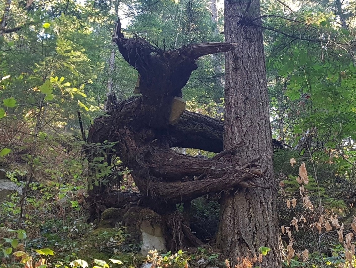 Обложка произведения Анекдот