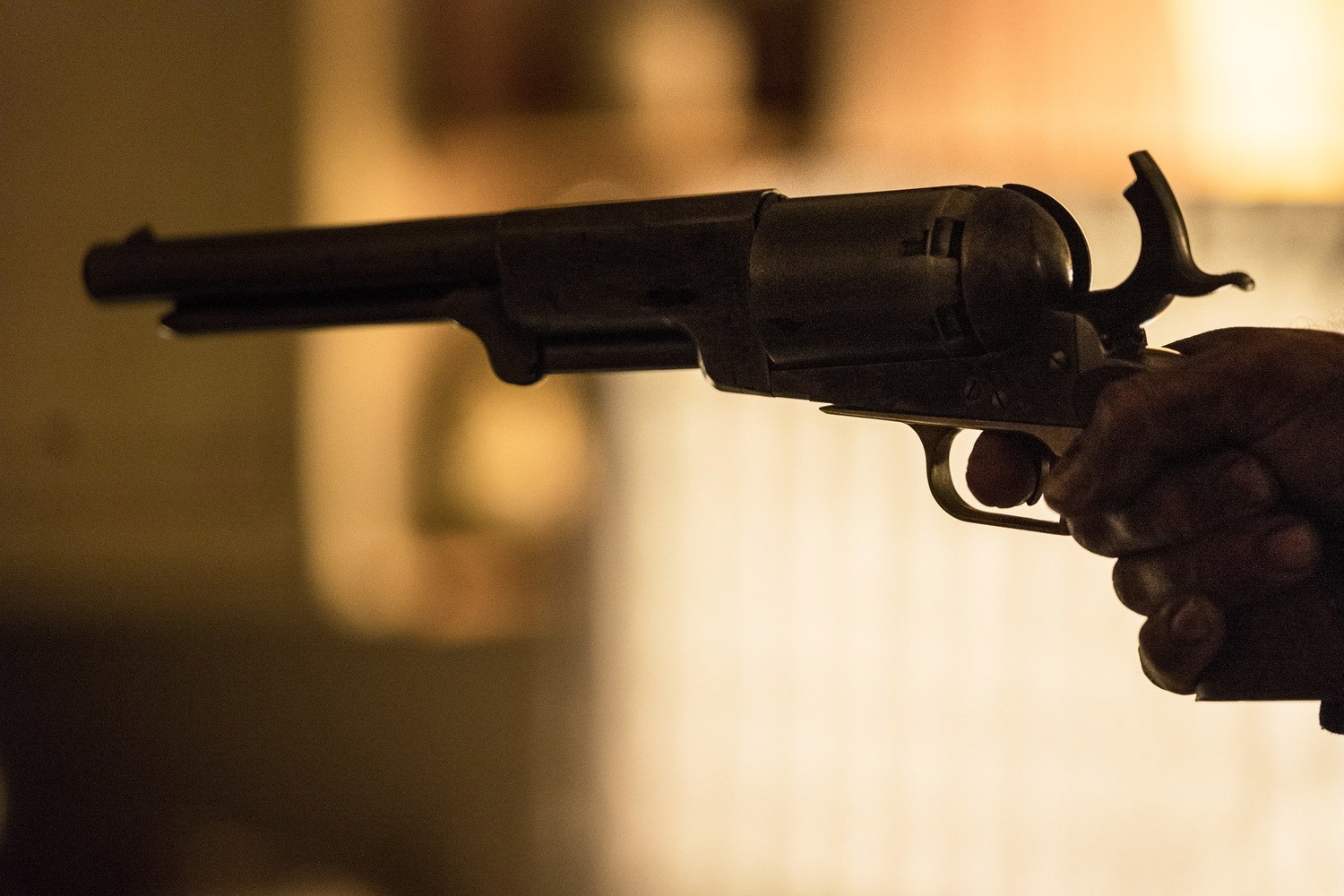 Обложка произведения Лицензия на убийство