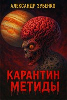 Обложка произведения Карантин Метиды