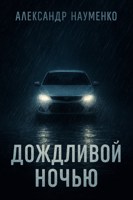 Обложка произведения Дождливой ночью