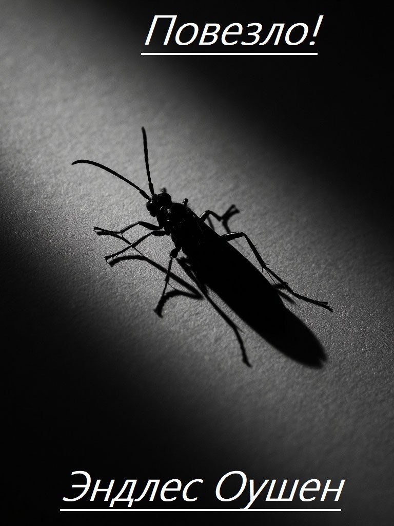 Обложка произведения Повезло!