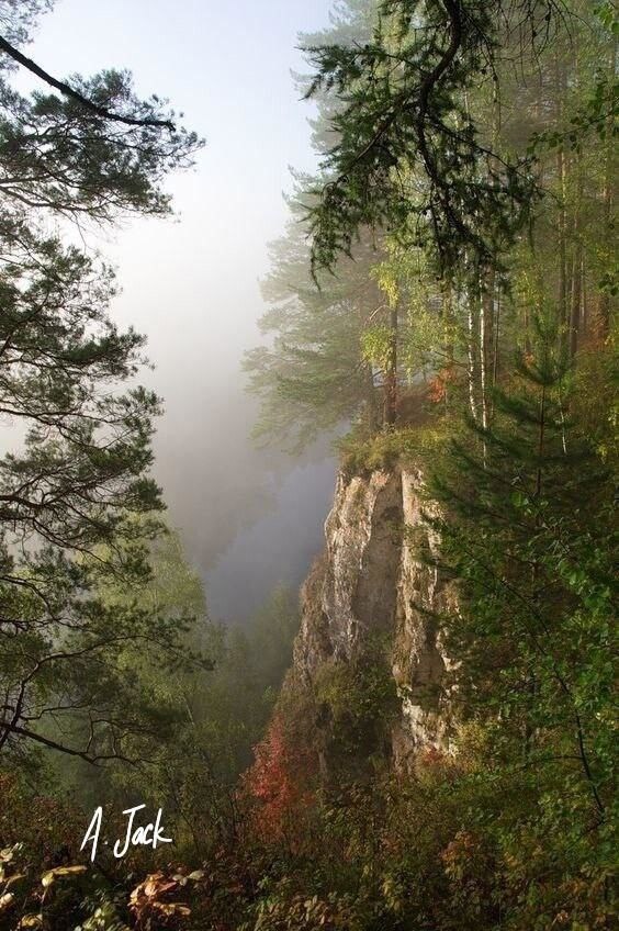 Обложка произведения Гнездо беркута