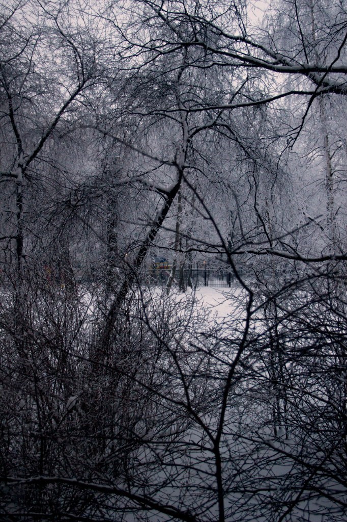 Обложка произведения Зимнее