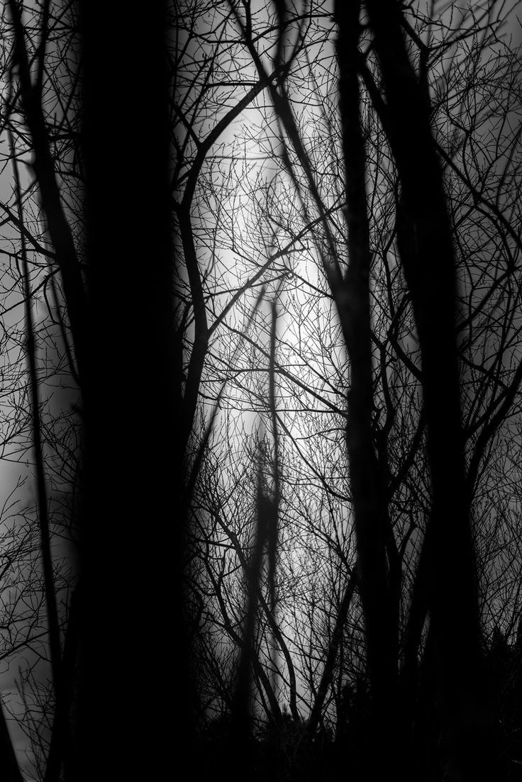 Обложка произведения Мрак стылого ноября