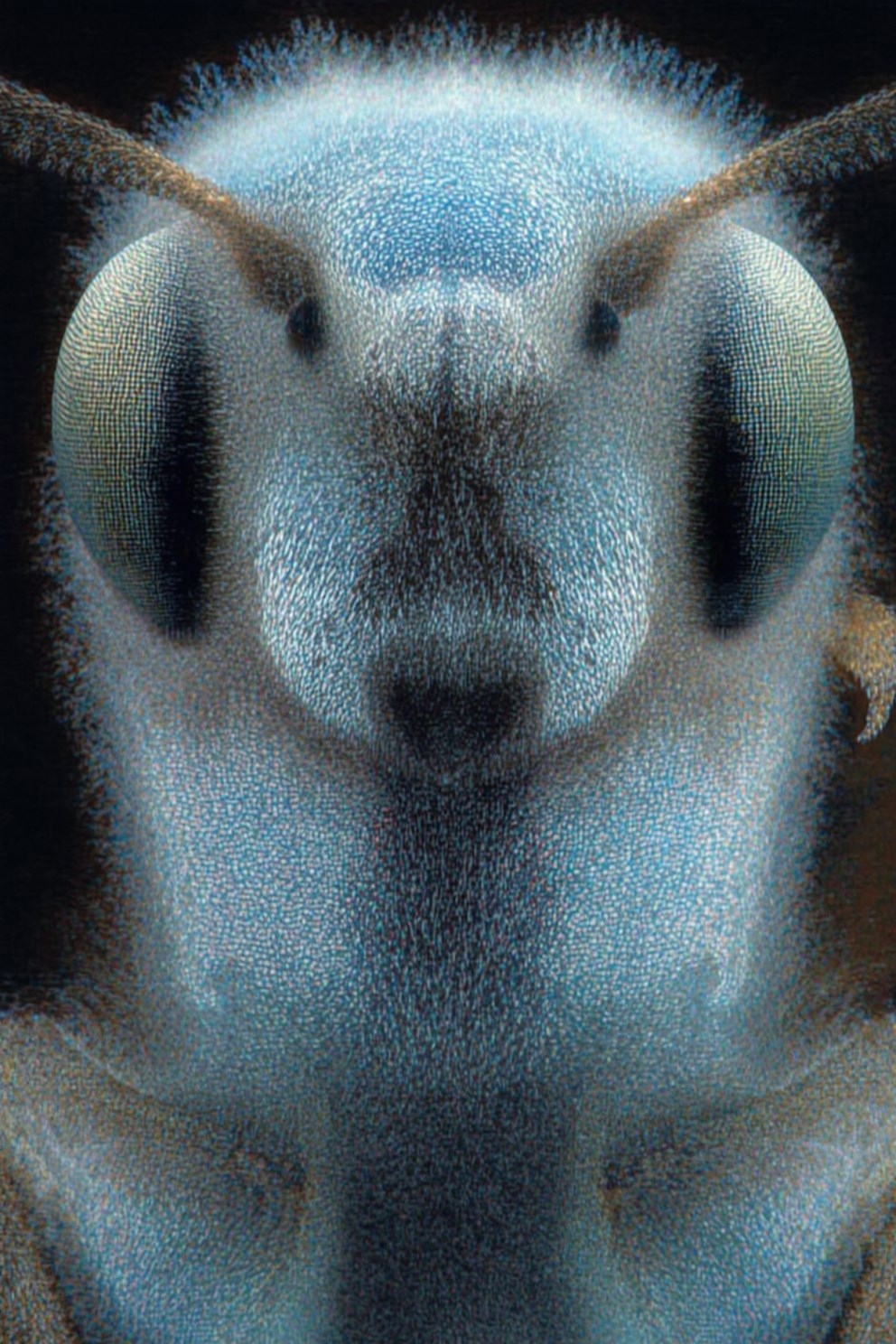 Обложка произведения Ржавые Джунгли