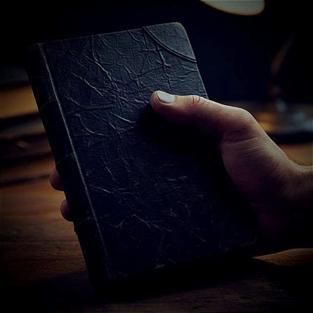 Обложка произведения Мой Последний Некролог