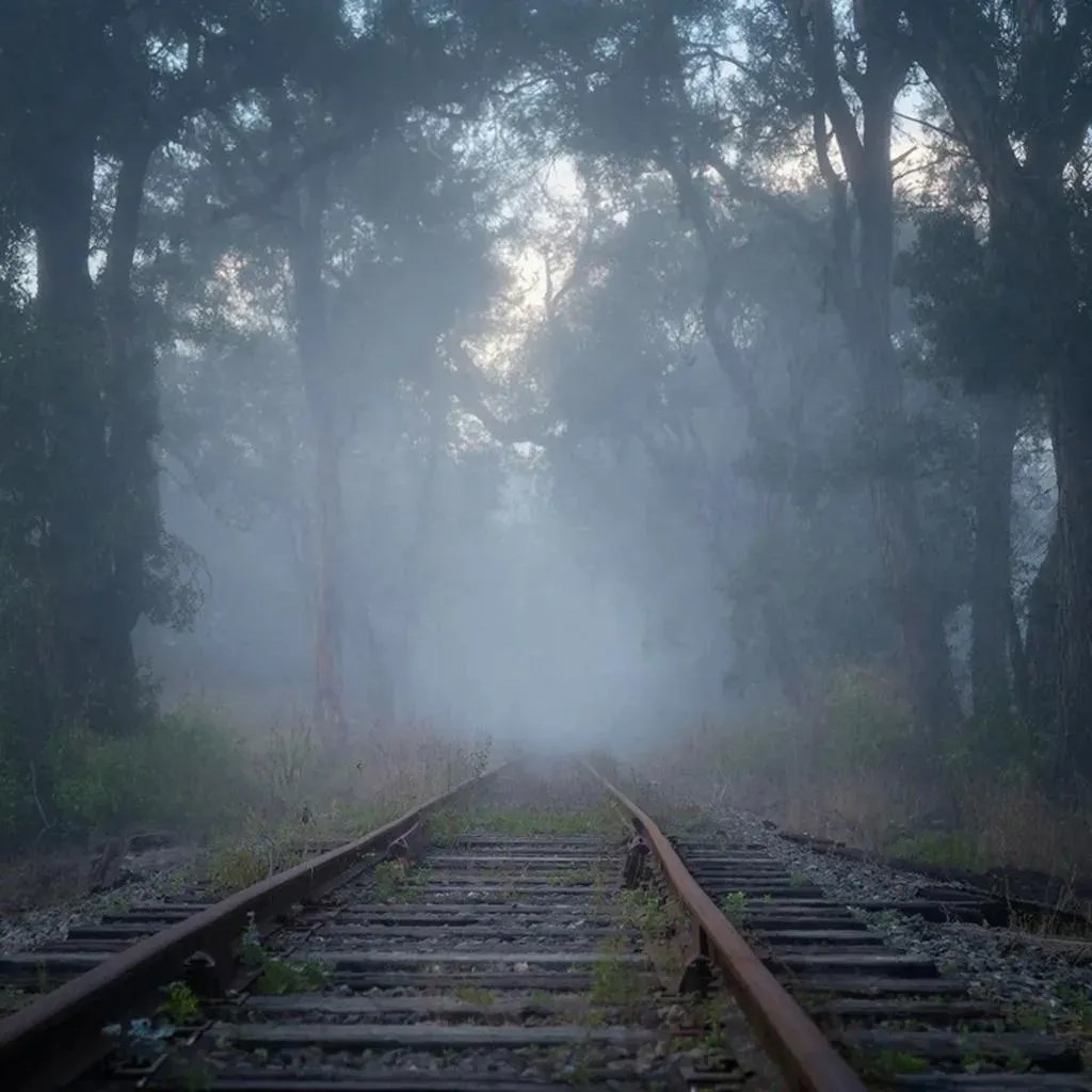 Обложка произведения Смутное ощущение 25