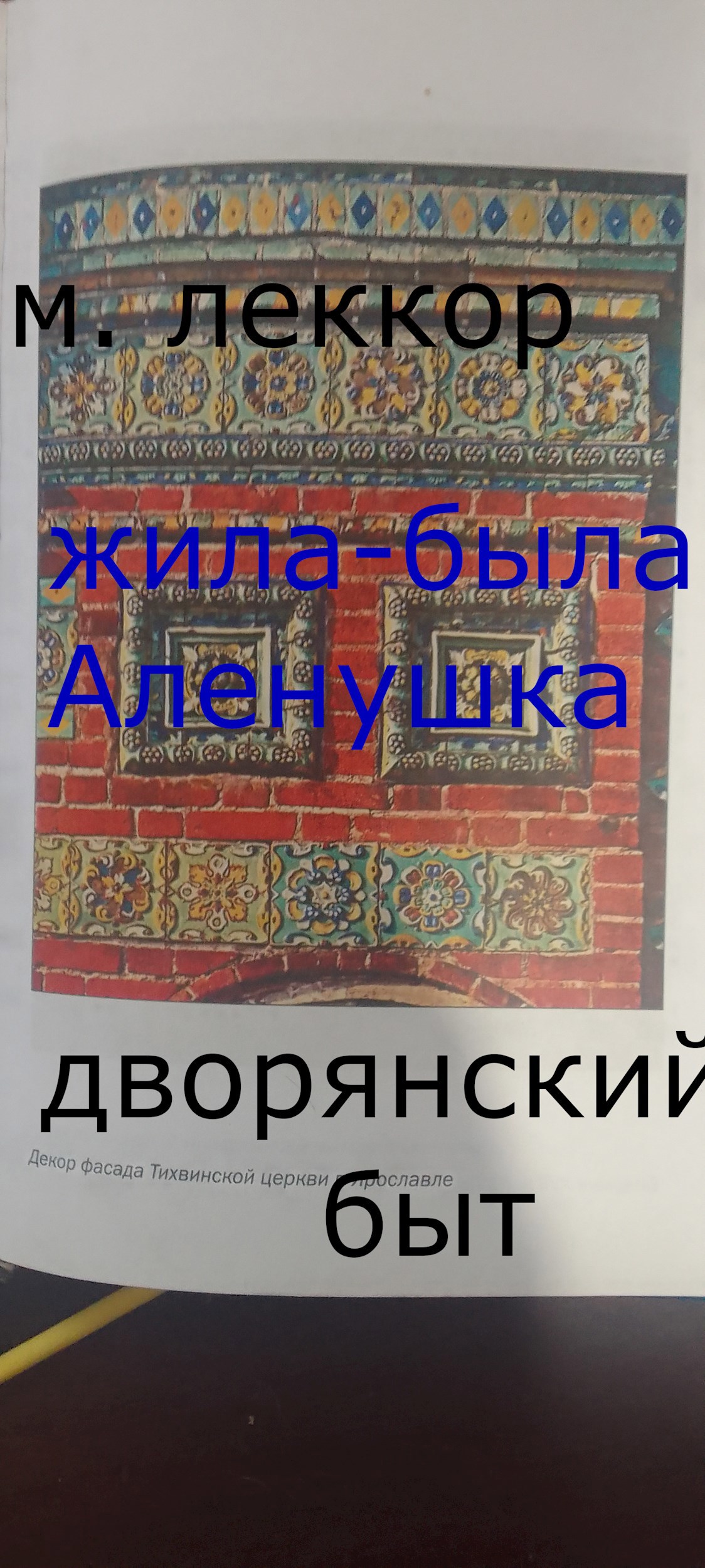 Обложка произведения Дворянский быт (Жила-была Аленушка - 2)