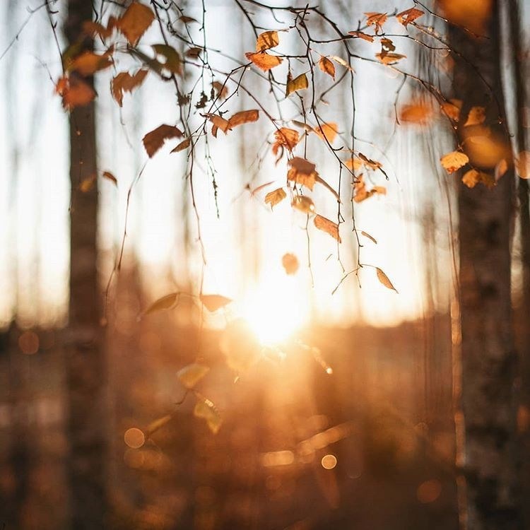 Обложка произведения Нежно и тревожно