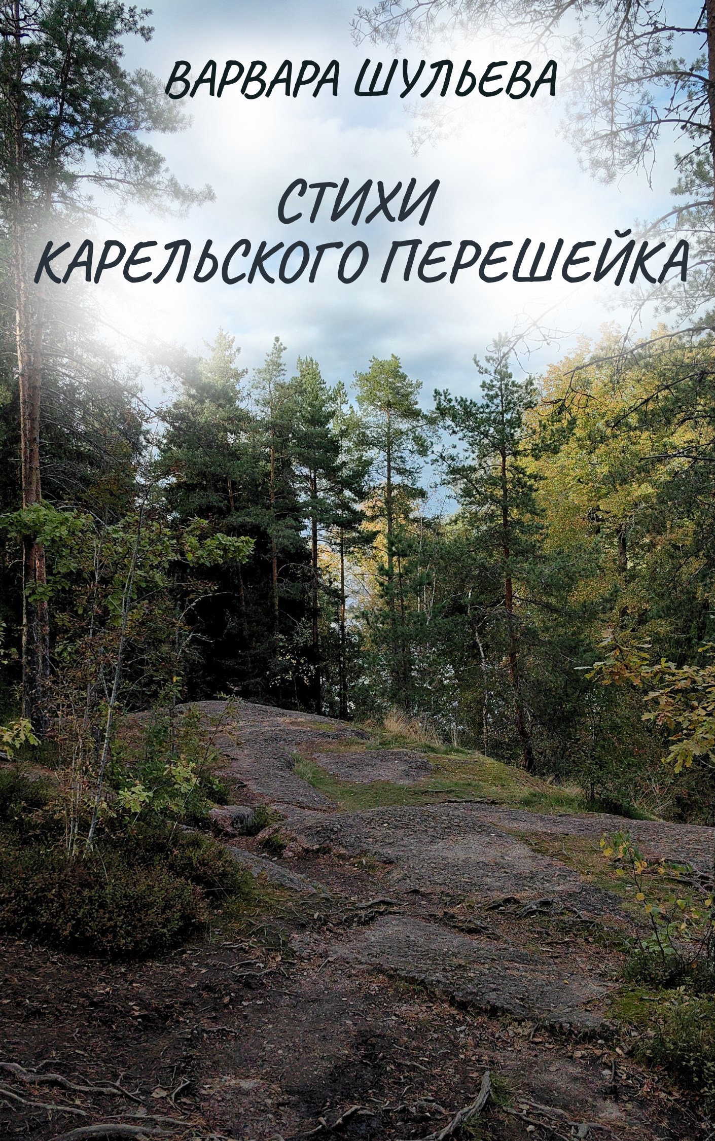 Обложка произведения Стихи Карельского перешейка