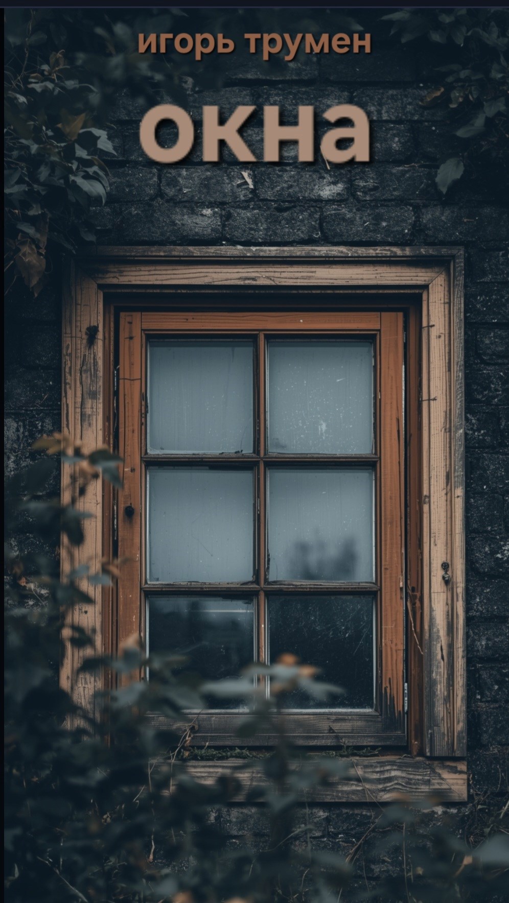 Обложка произведения Окна