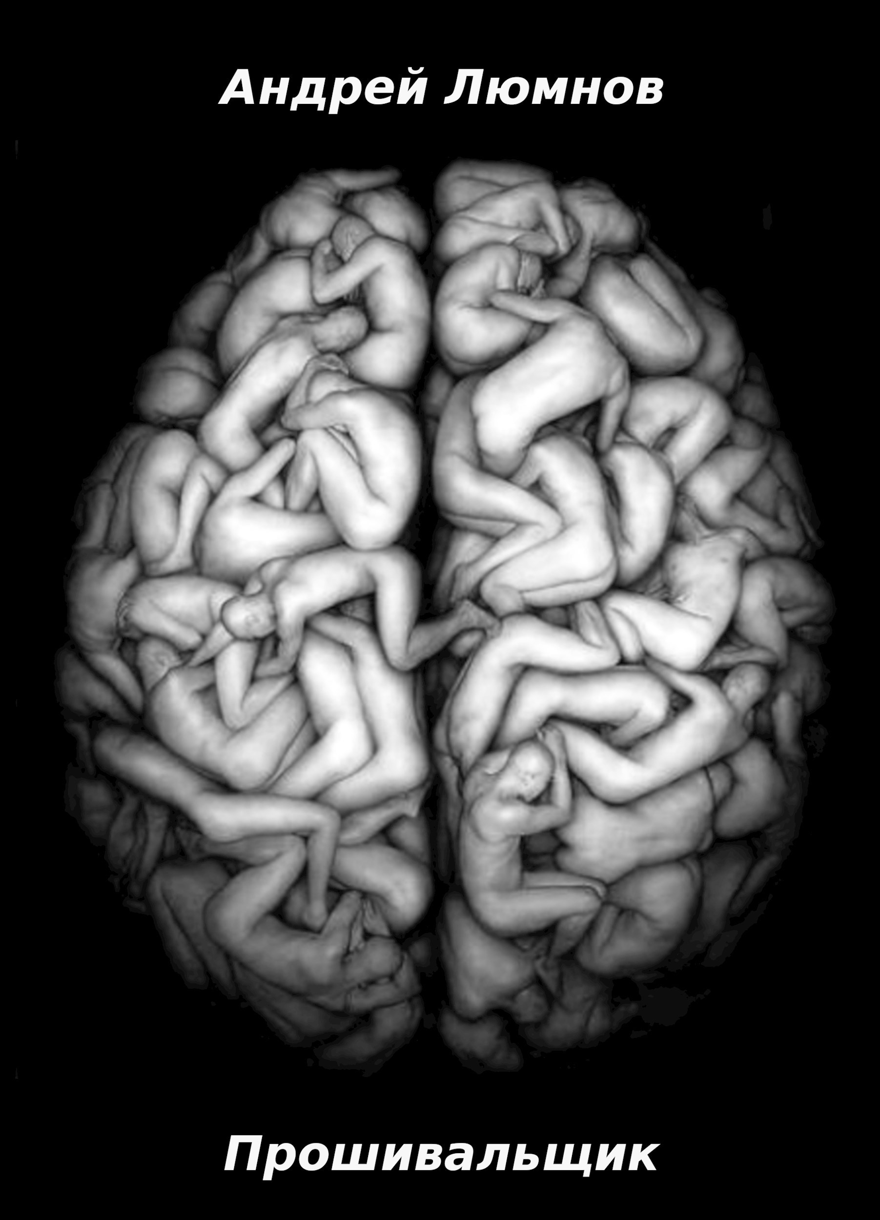 Обложка произведения Прошивальщик