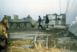 Опять туман!