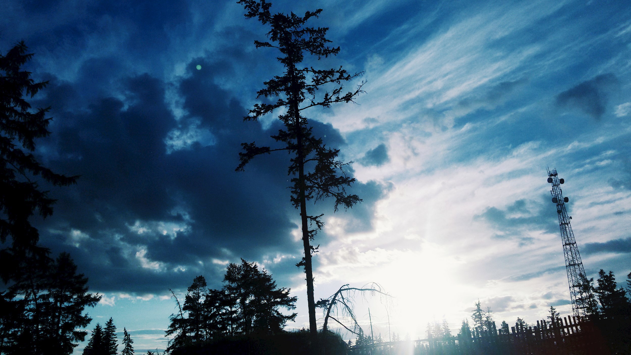 Обложка произведения Мятное дыхание