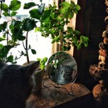 Обложка произведения Зеркало