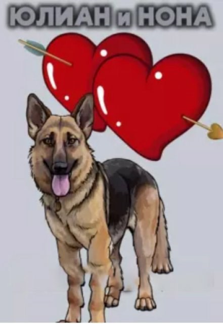 Обложка произведения Юлиан и Нона