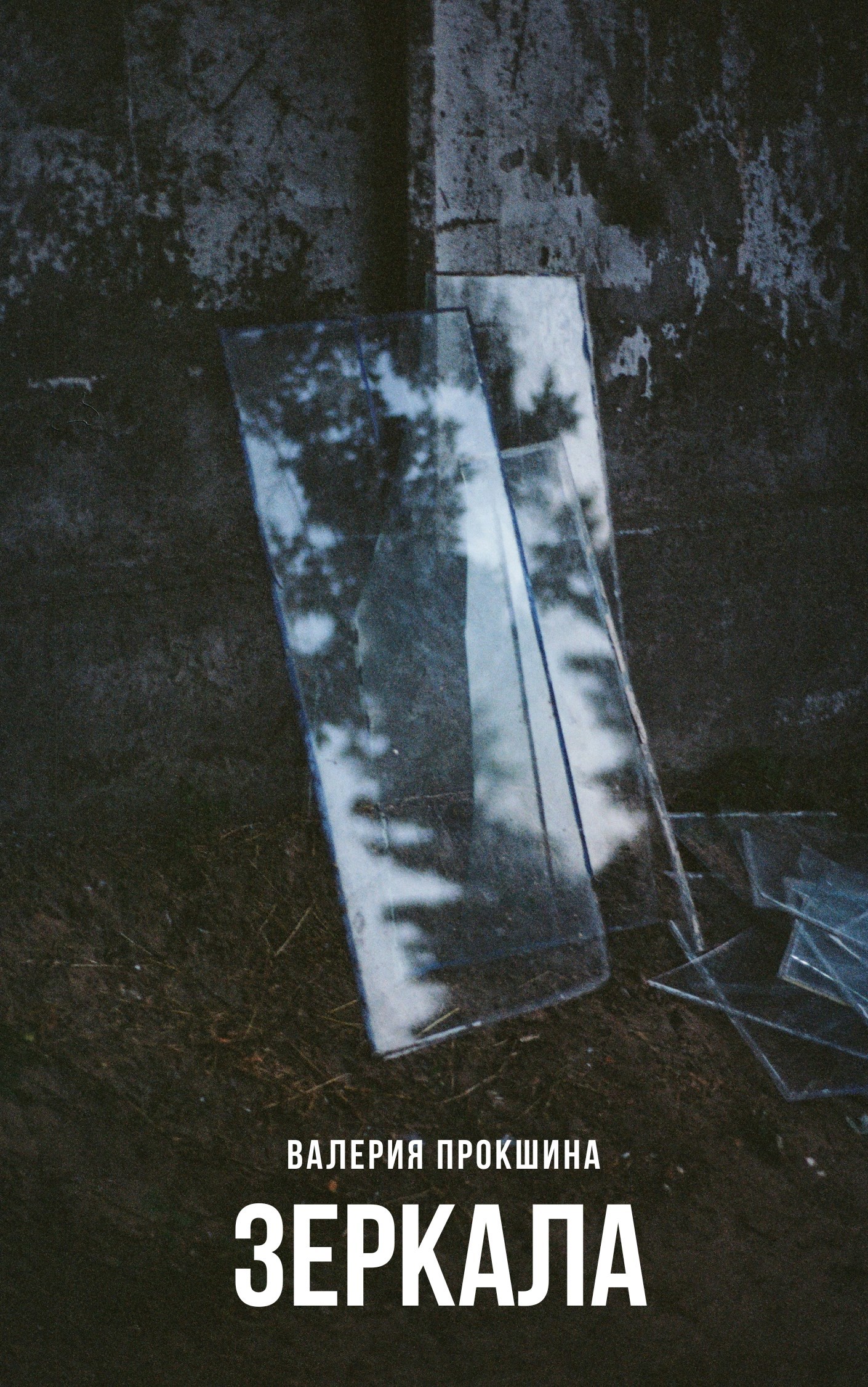 Обложка произведения Зеркала