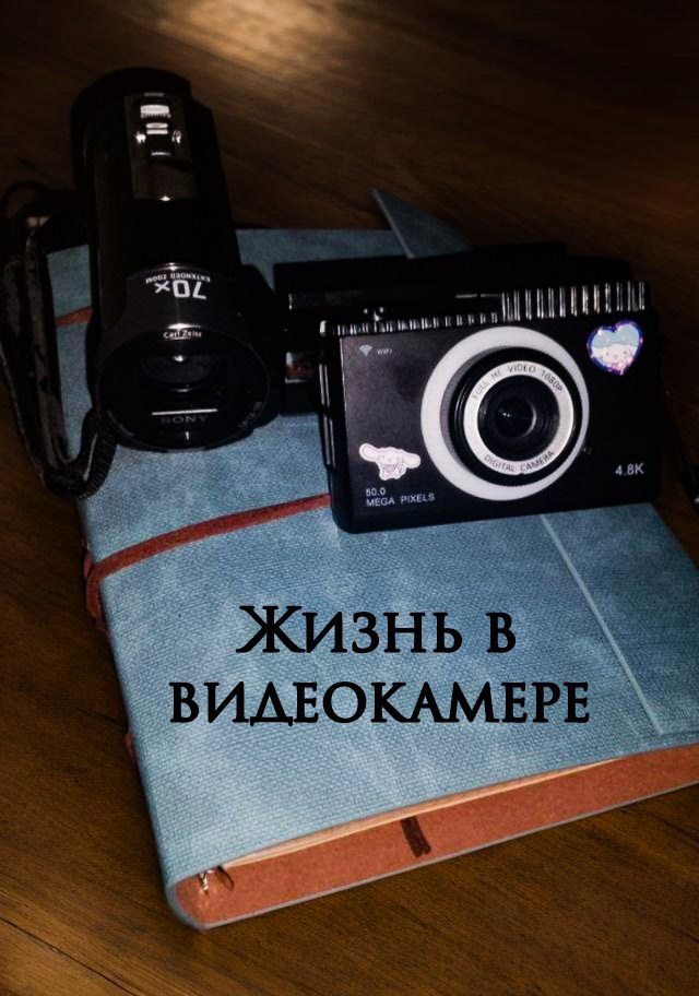 Обложка произведения Жизнь в видеокамере