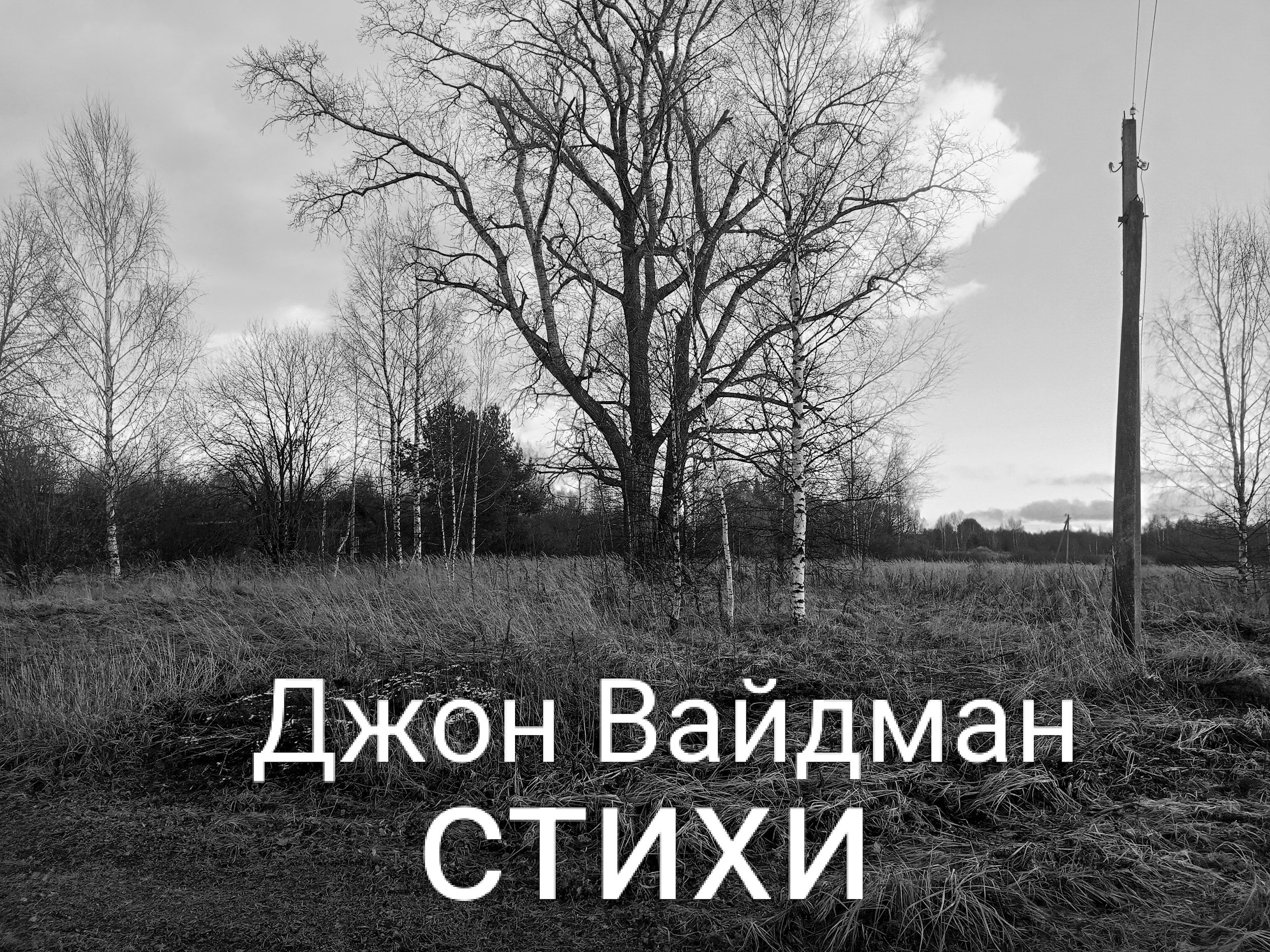 Обложка произведения Стихотворения