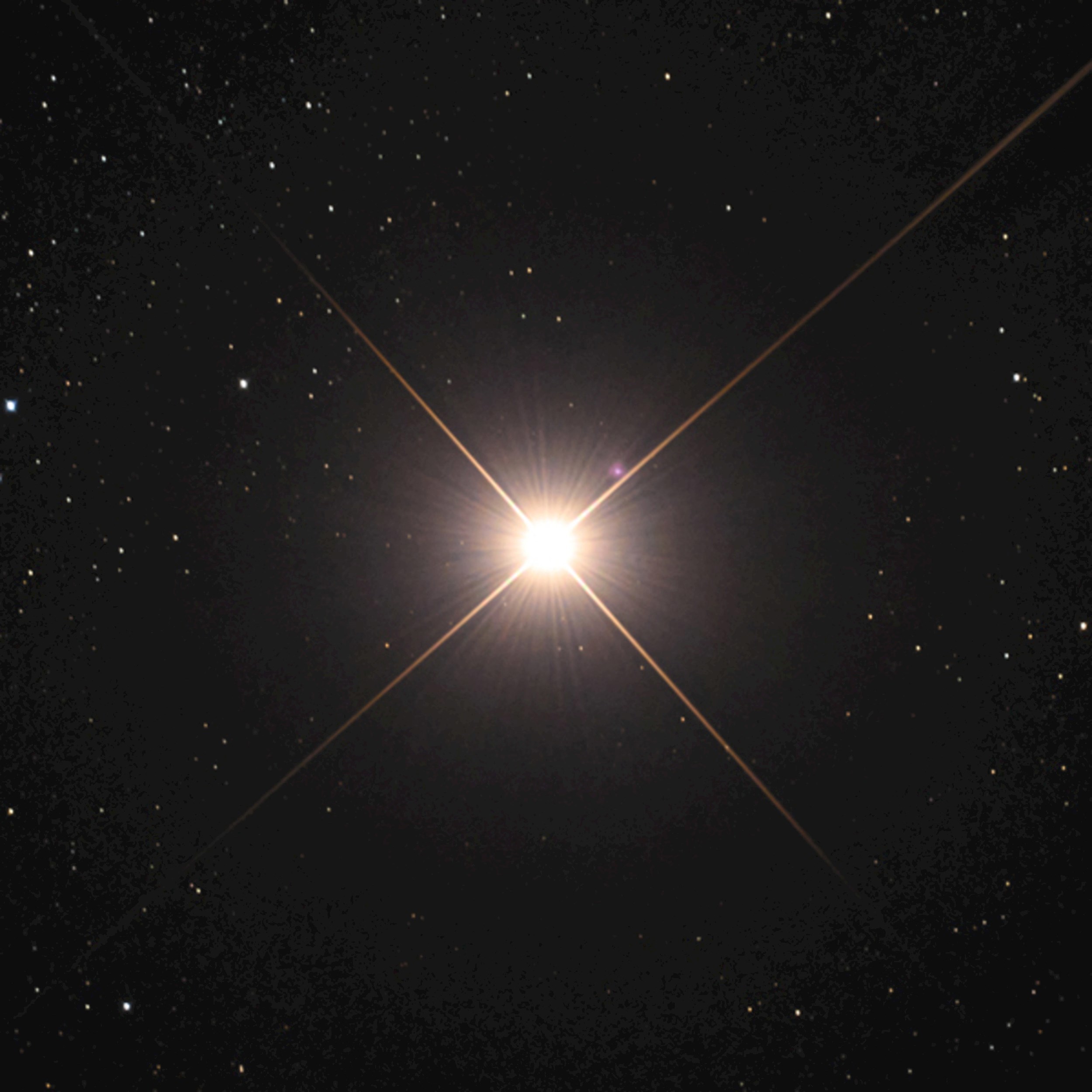 Обложка произведения Чего боюсь, кого люблю