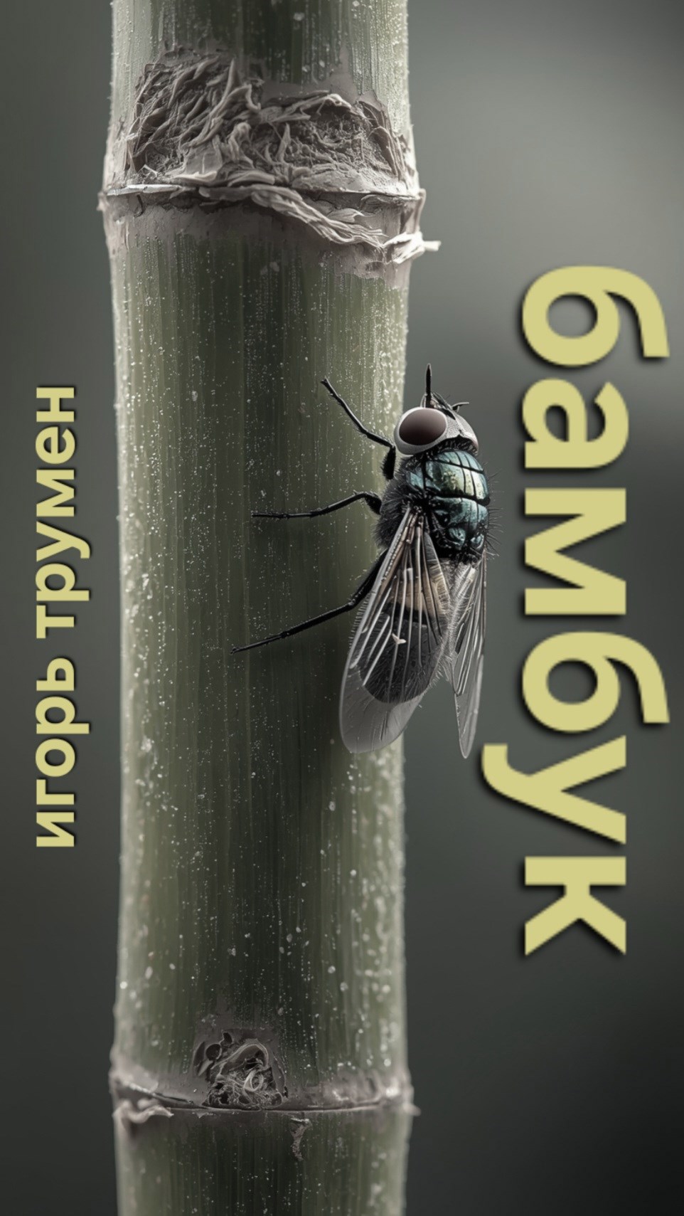 Обложка произведения Бамбук.