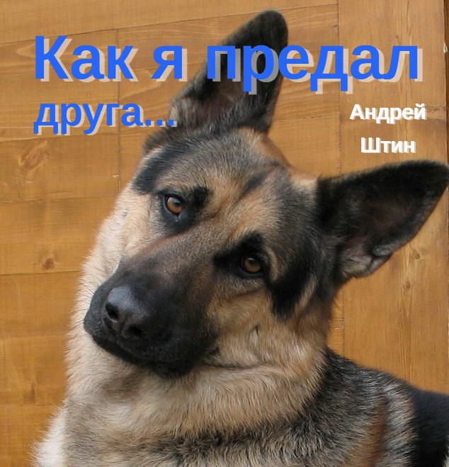 Обложка произведения Как я предал друга...