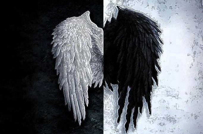 Обложка произведения Белый и черный.